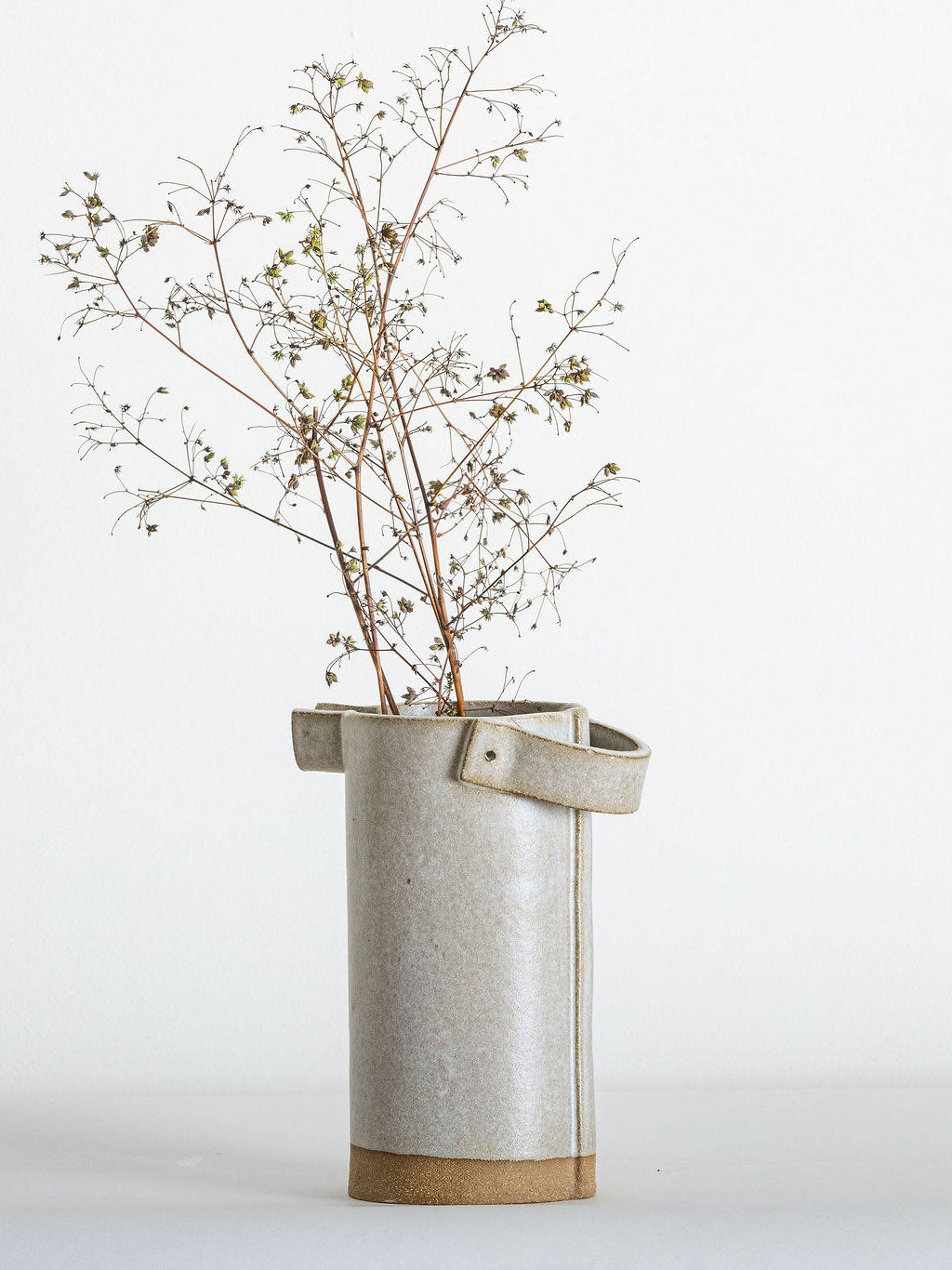 Probber Pitcher
